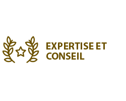 expertise et conseil